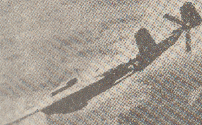 Do217 B.png