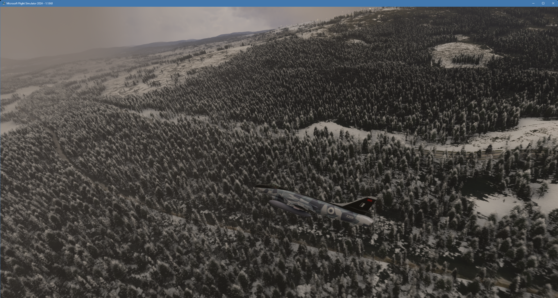 Microsoft Flight Simulator 2024 23_11_2024 23_06_25.png