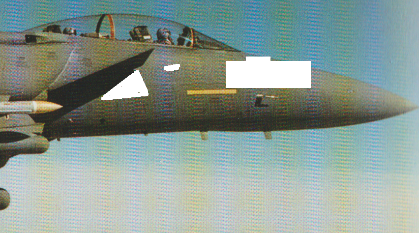 Nose.png