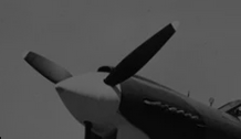 Screenshot 2025-01-20 130313.png