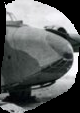 03-02-2025B.png