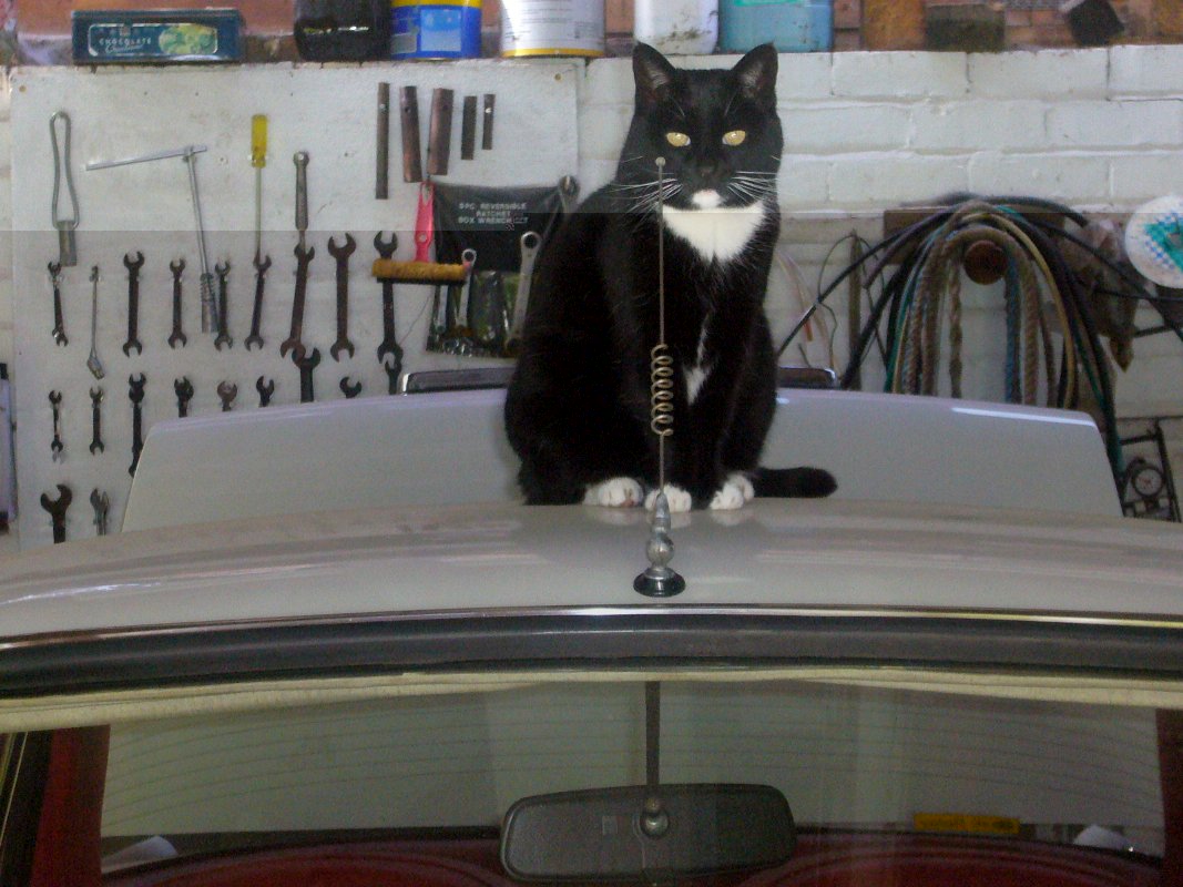 P1090234.JPG