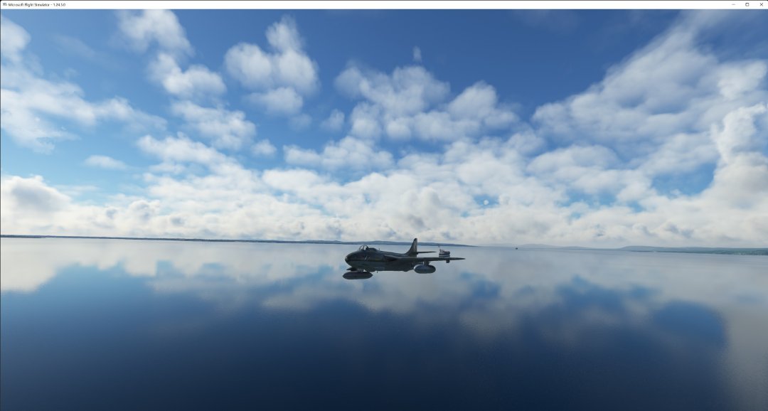 Microsoft Flight Simulator 24_03_2022 22_16_49.jpg
