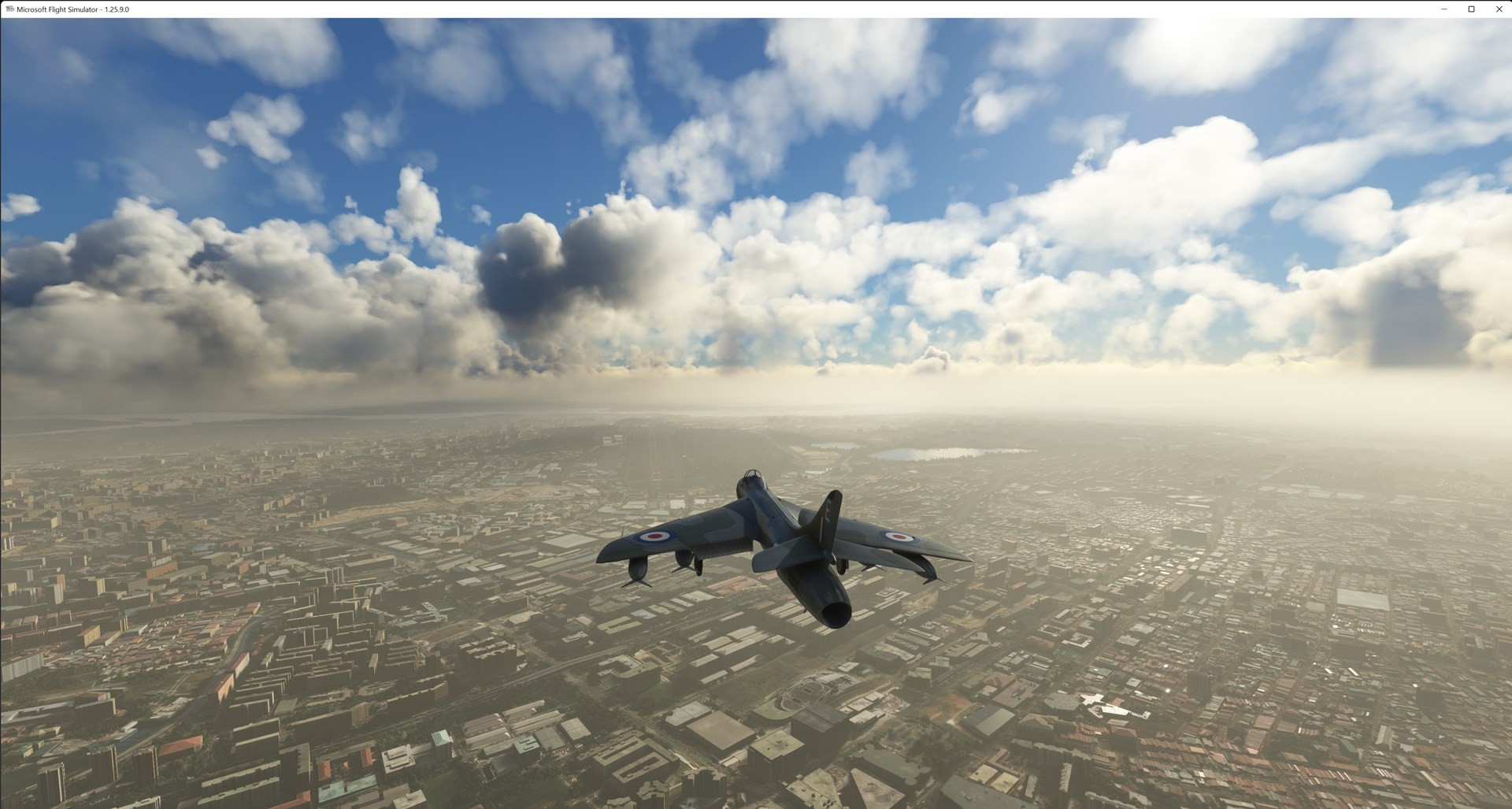 Microsoft Flight Simulator 08_06_2022 14_28_13.jpg